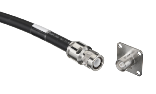 5eec8003a91d2.png 1C-Male_C-Family.png